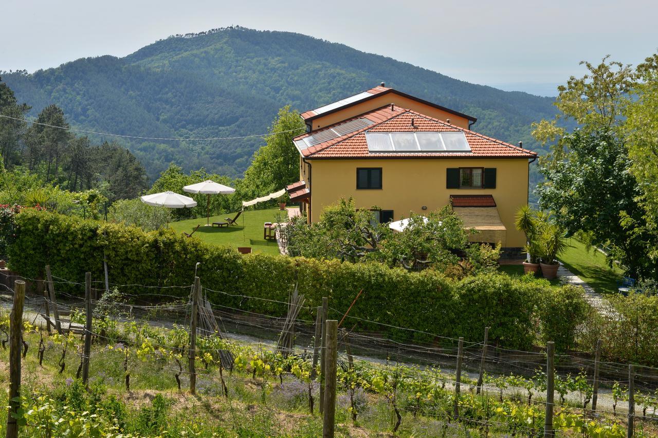 Il Laghello Di Amina Villa Framura Buitenkant foto