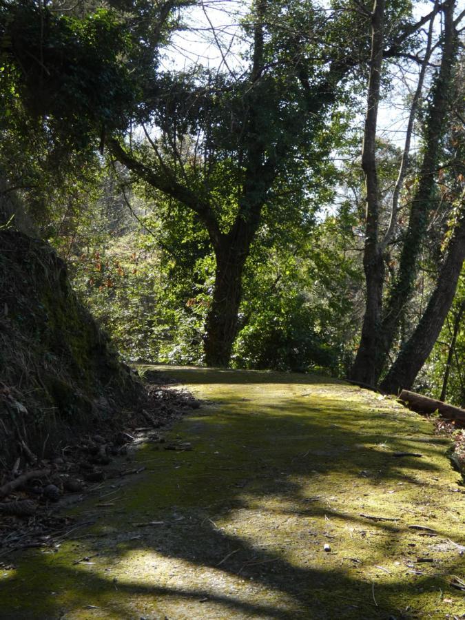 Il Laghello Di Amina Villa Framura Buitenkant foto